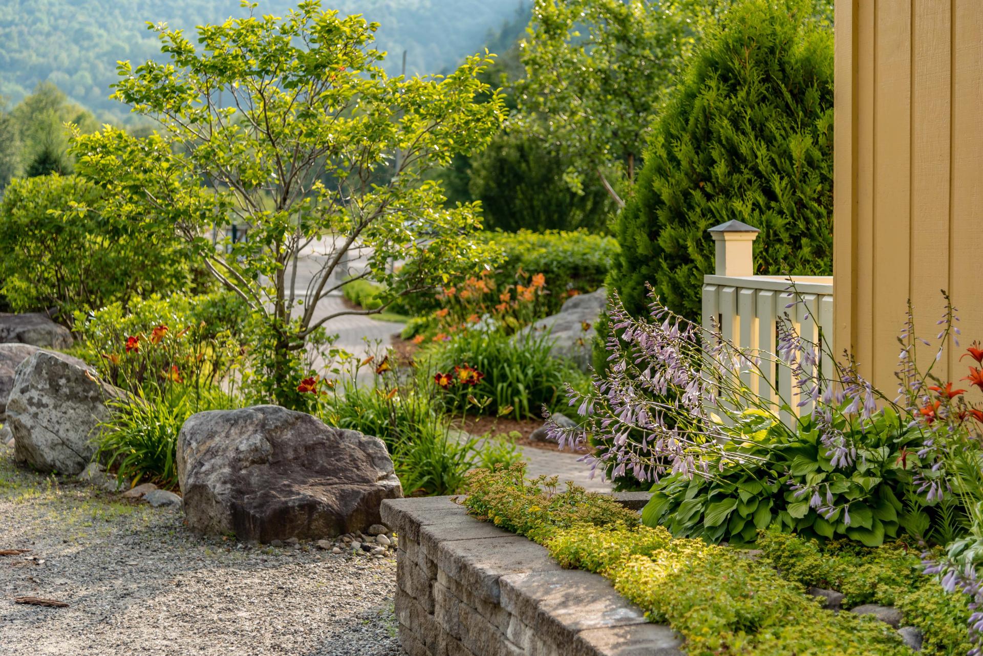 Landscape & Outdoor Living 1